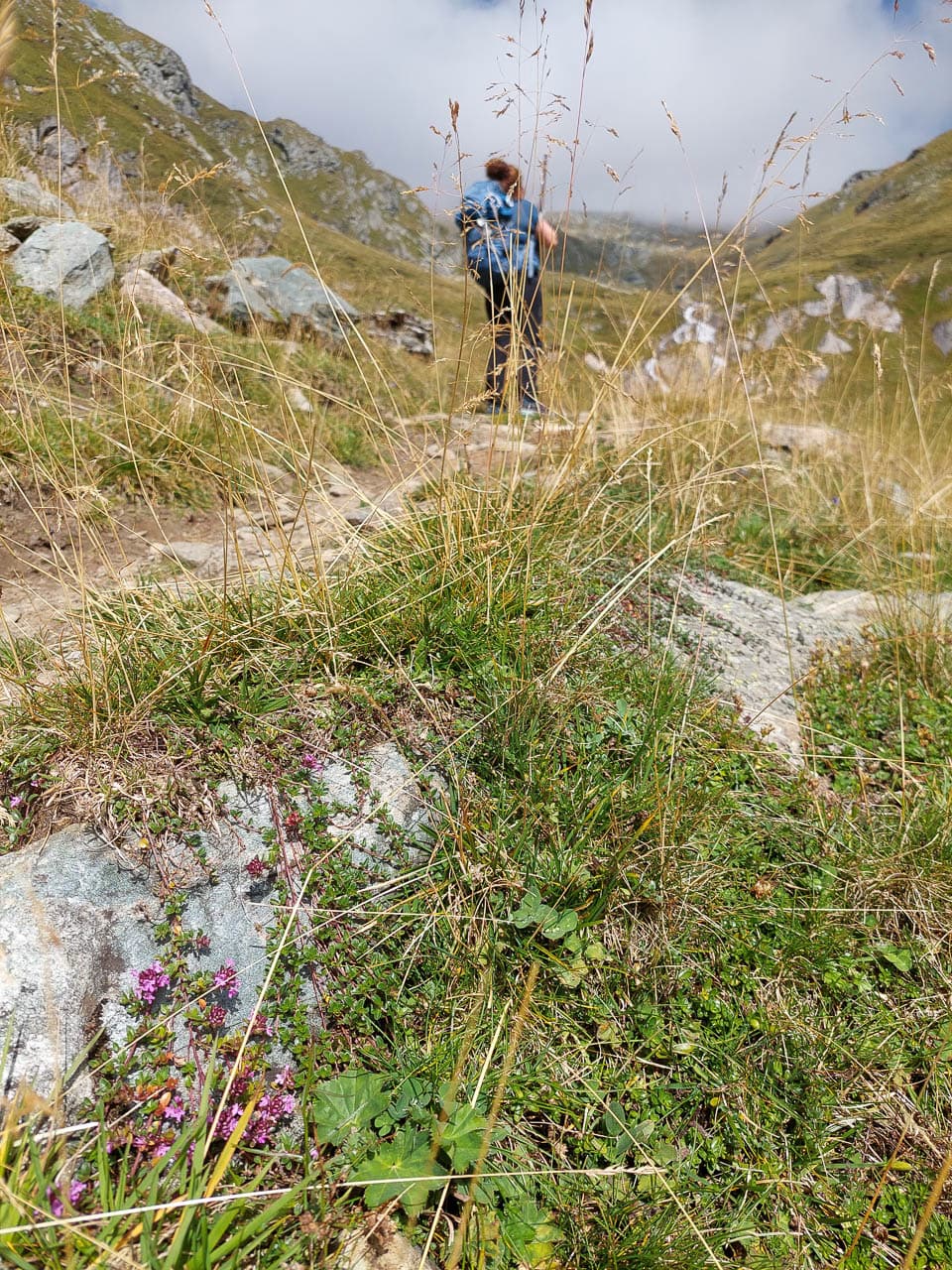 AT5VTA 20220902 114634 Salzkammergut Touristik