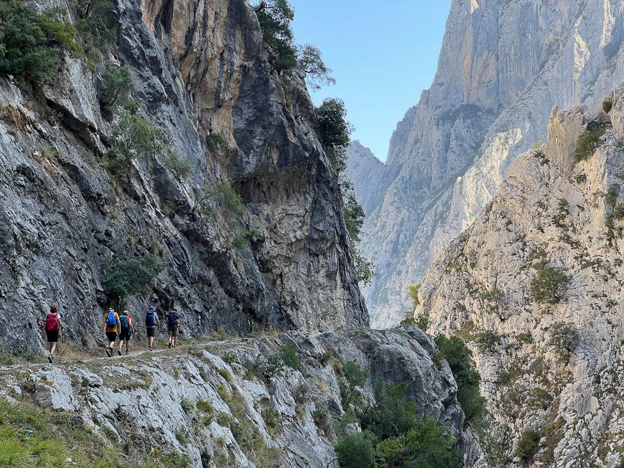 Selectie IMG 9146 Tom De Borger