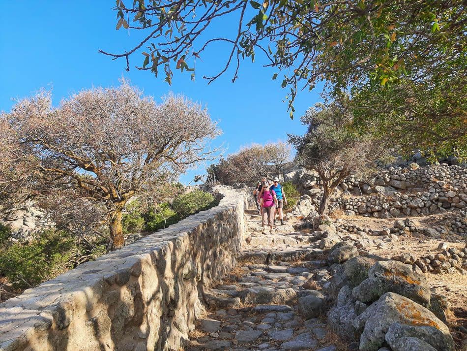 20211012_090020_steven-vertommen_w950