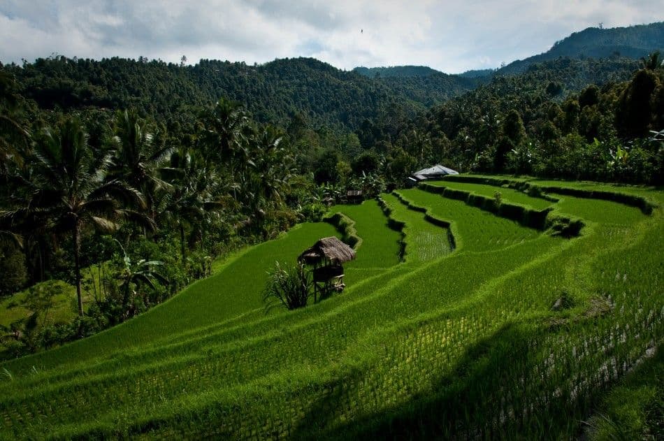 IND11-112GR11-172-Java-Bali-Sulawesi-10-Stefaan-Moens-DSC_0630-Custom