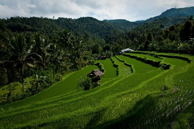 IND11-112GR11-172-Java-Bali-Sulawesi-10-Stefaan-Moens-DSC_0630-Custom