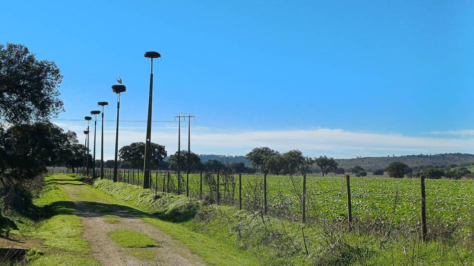 20241111 103715 PT6ALA W950