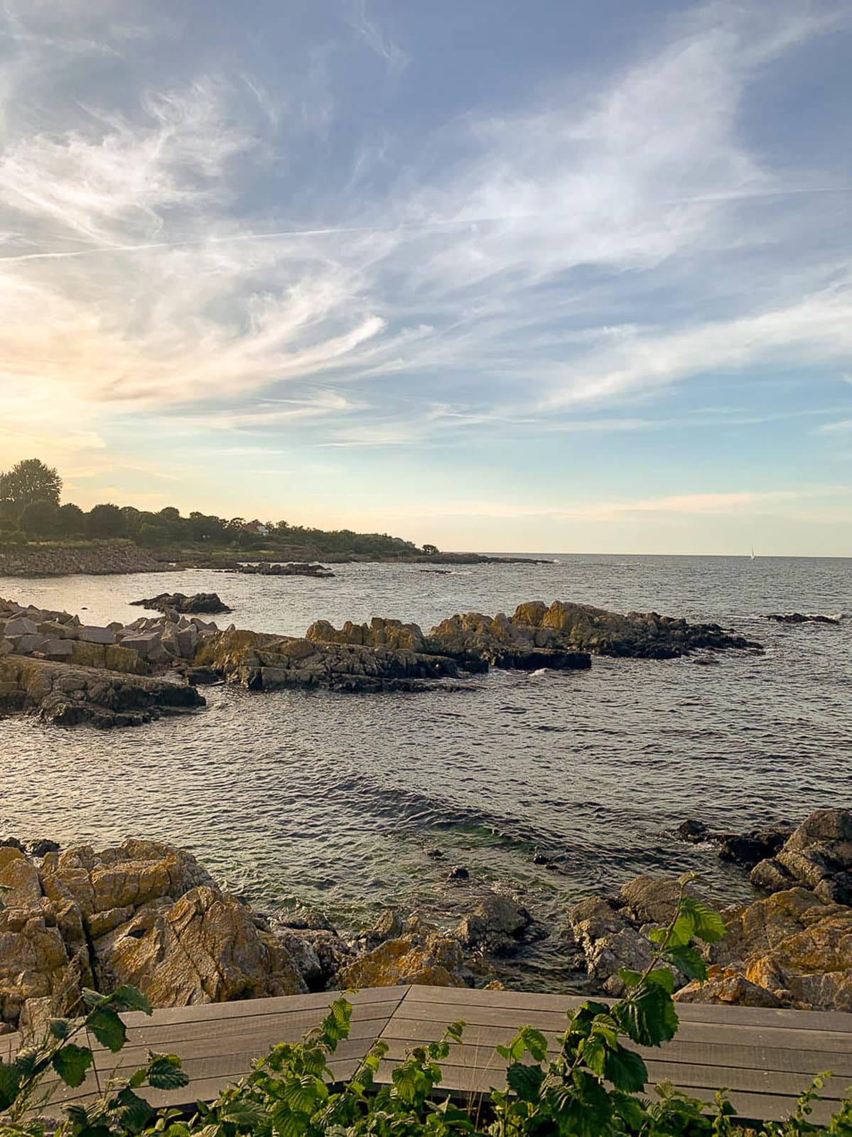 IMG 9850 DK1BHA W950 DK1BHA Katrien Boon W1280