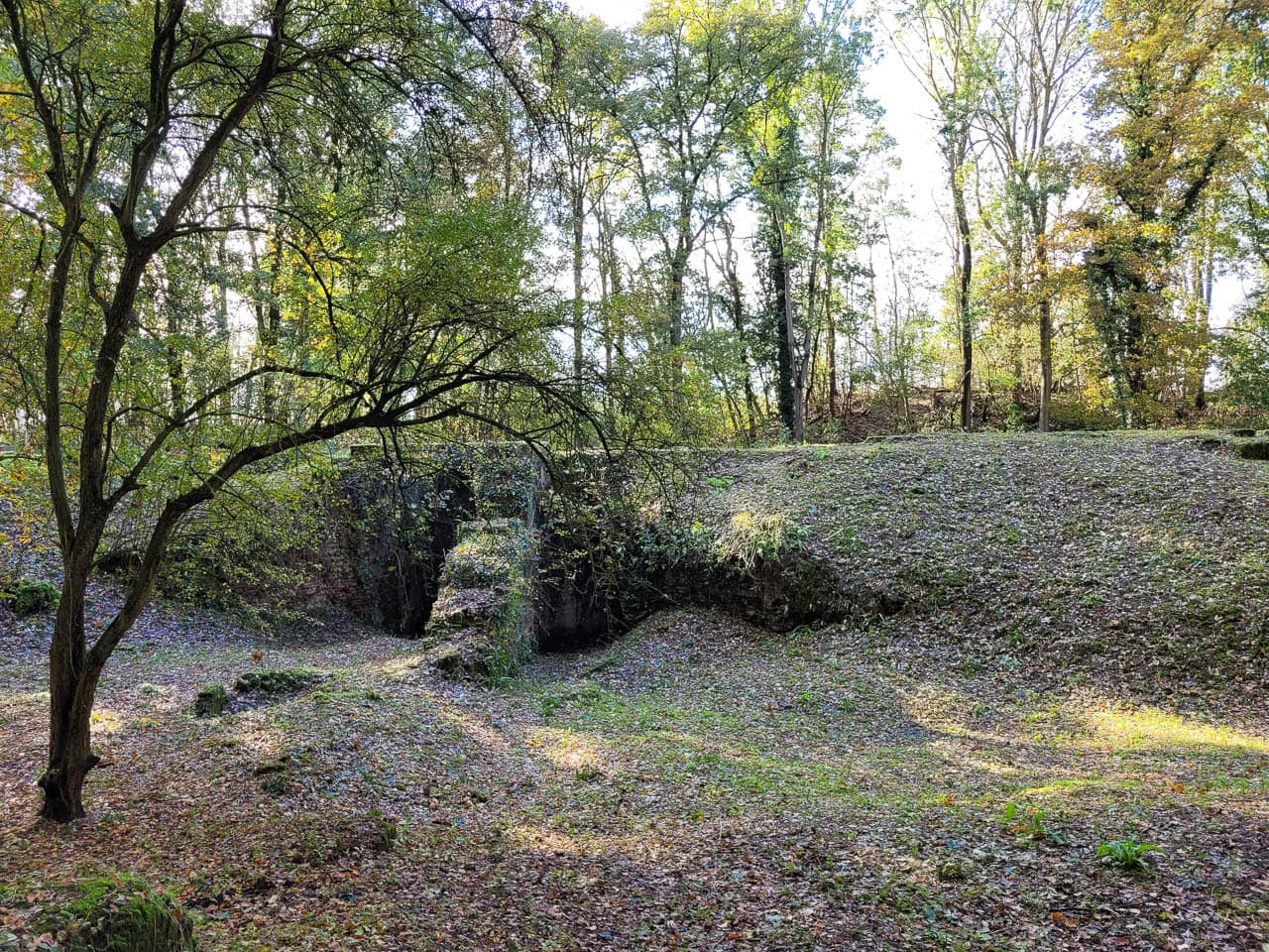 20231107 125804 Caja GR W1280