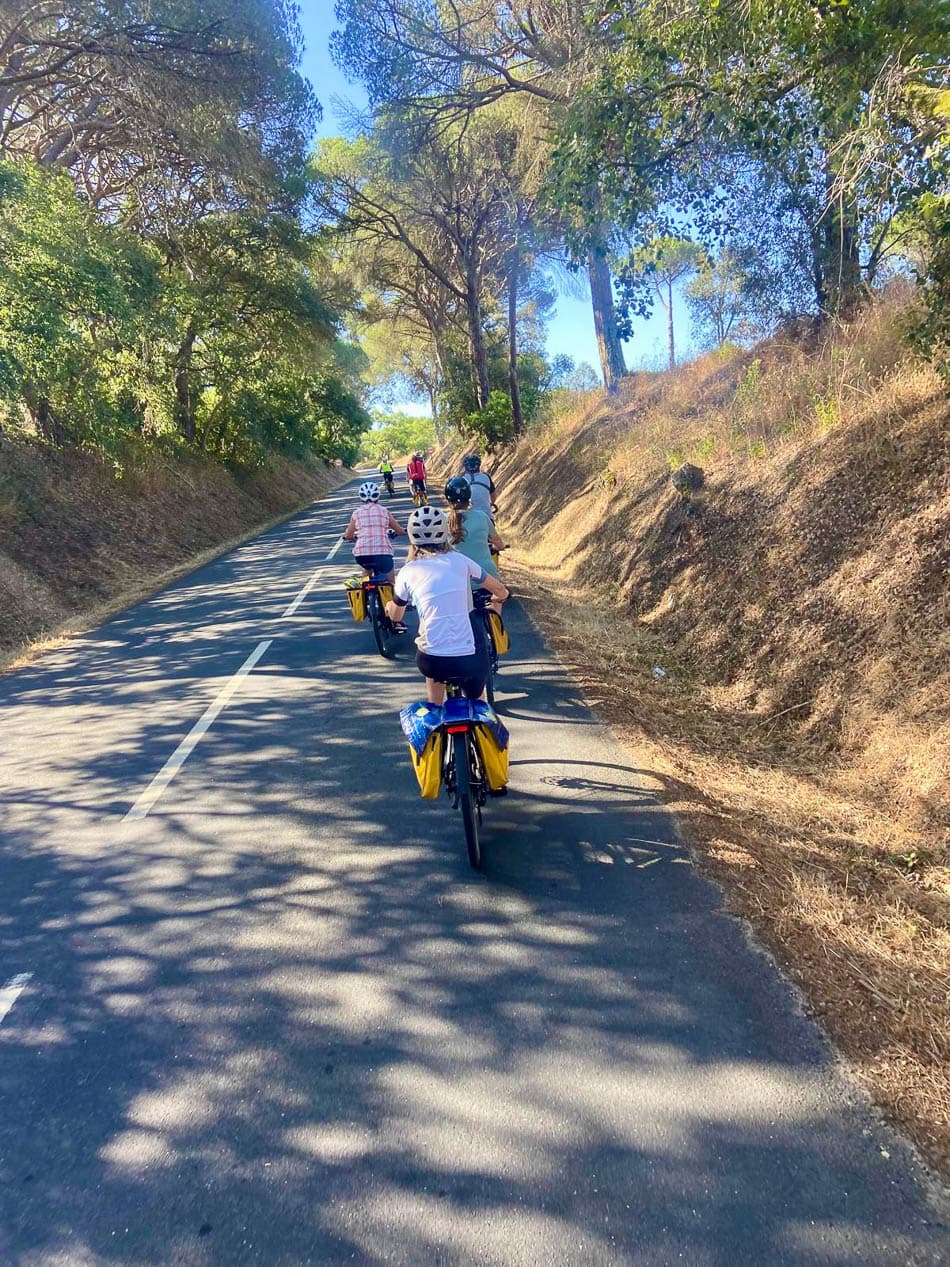 Image00015 PT6ALA W950