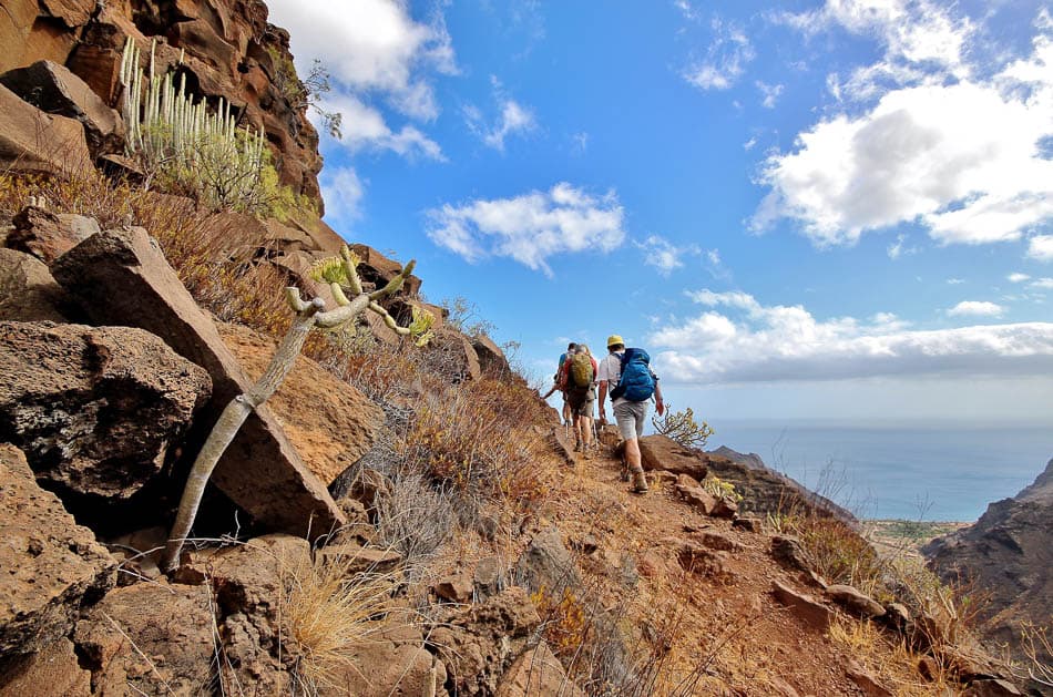 lg-35-ES1LGA Arne Van Wijnsberghe-Arne Van Wijnsberghe-w950