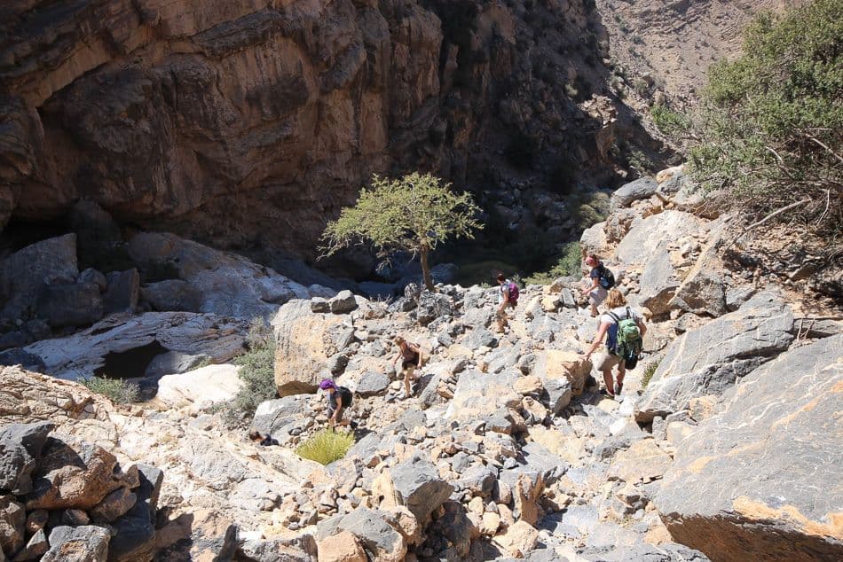 Oman 200_export_w950 (1)