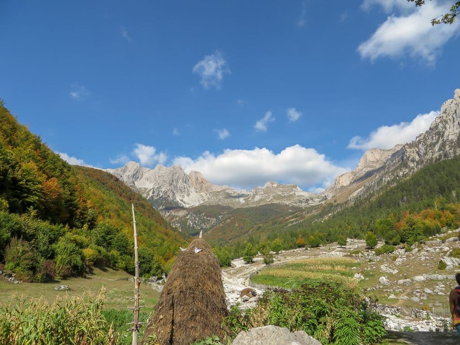 IMG_9885_export_w950