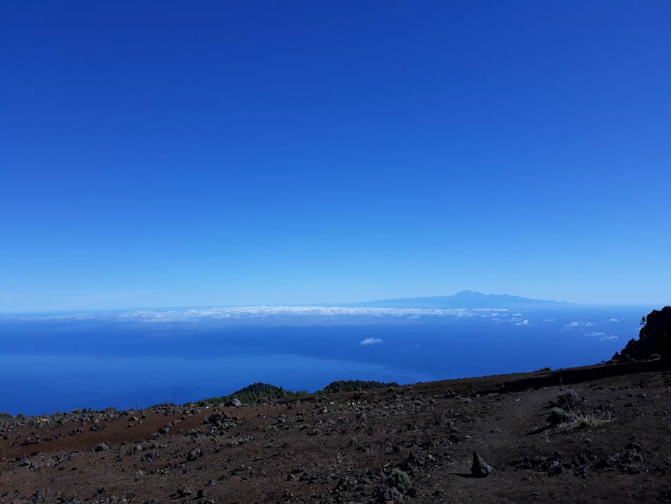 20191219 130245 Te Verwerken Maarten Caversoons W950