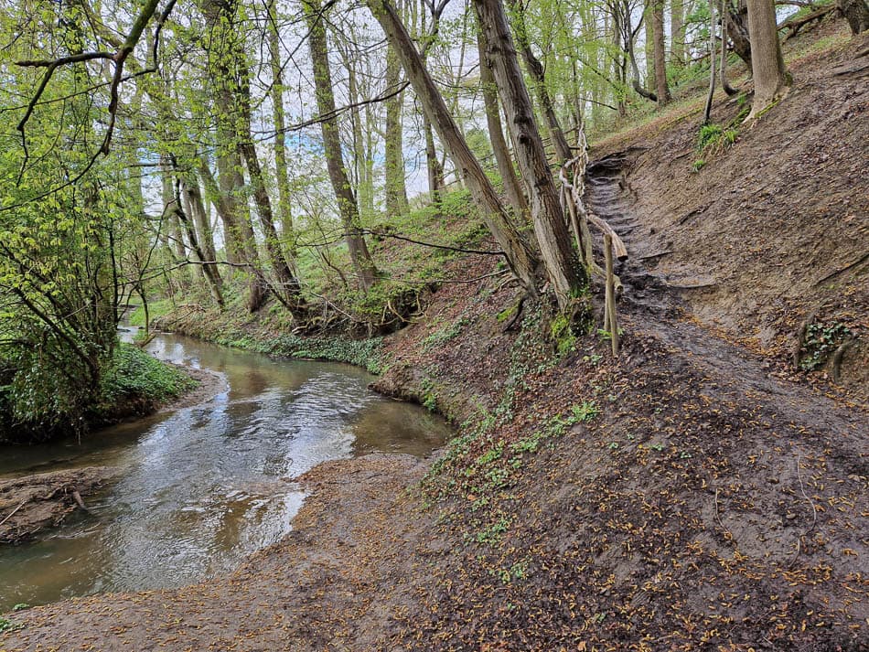 20230420_143145-NL5DMA Schrumpf Mirjam-Mirjam Schrumpf-w950