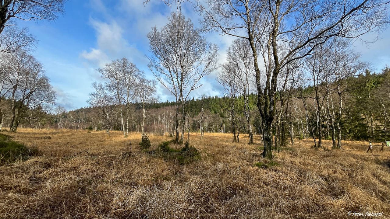 Venntrilogie 17 Ysebaert Peter Peter Ysebaert W1280