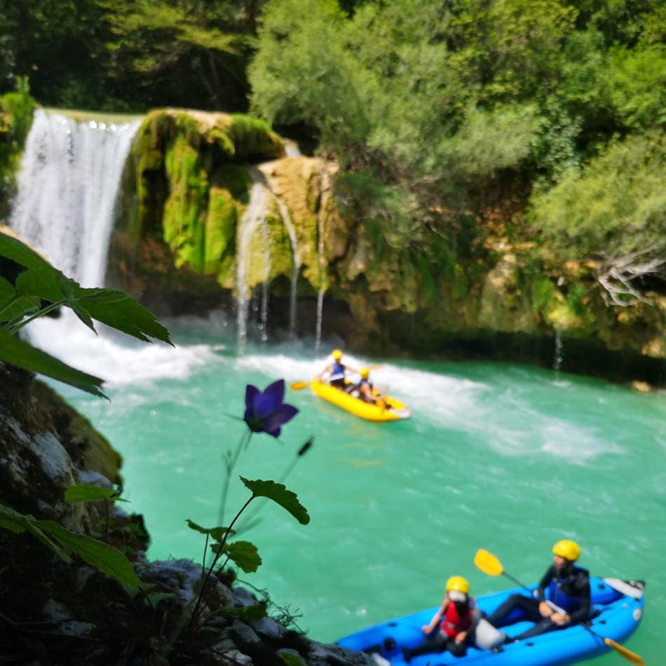 Mreznica Kajak11 2025 Agent Yugo Yugo W950