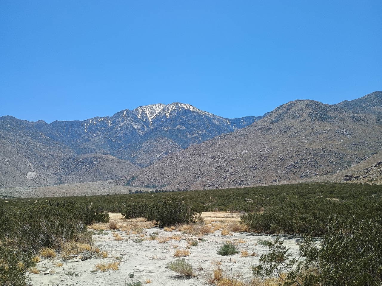 Foto's IMG 20240520 130350769 Olivier Van Hoey