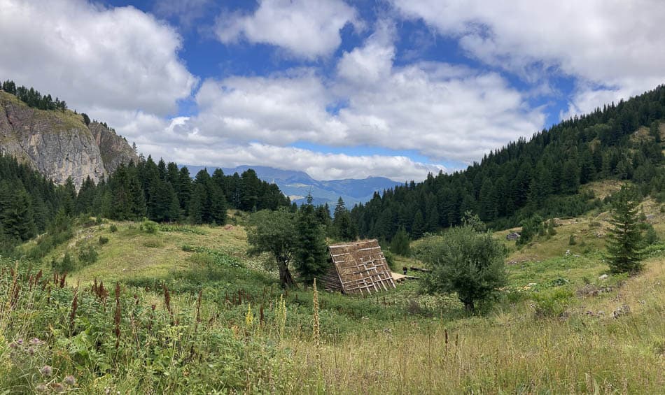 thumbnail_IMG_8436-AL1AAB-Myrthe Felten-w950