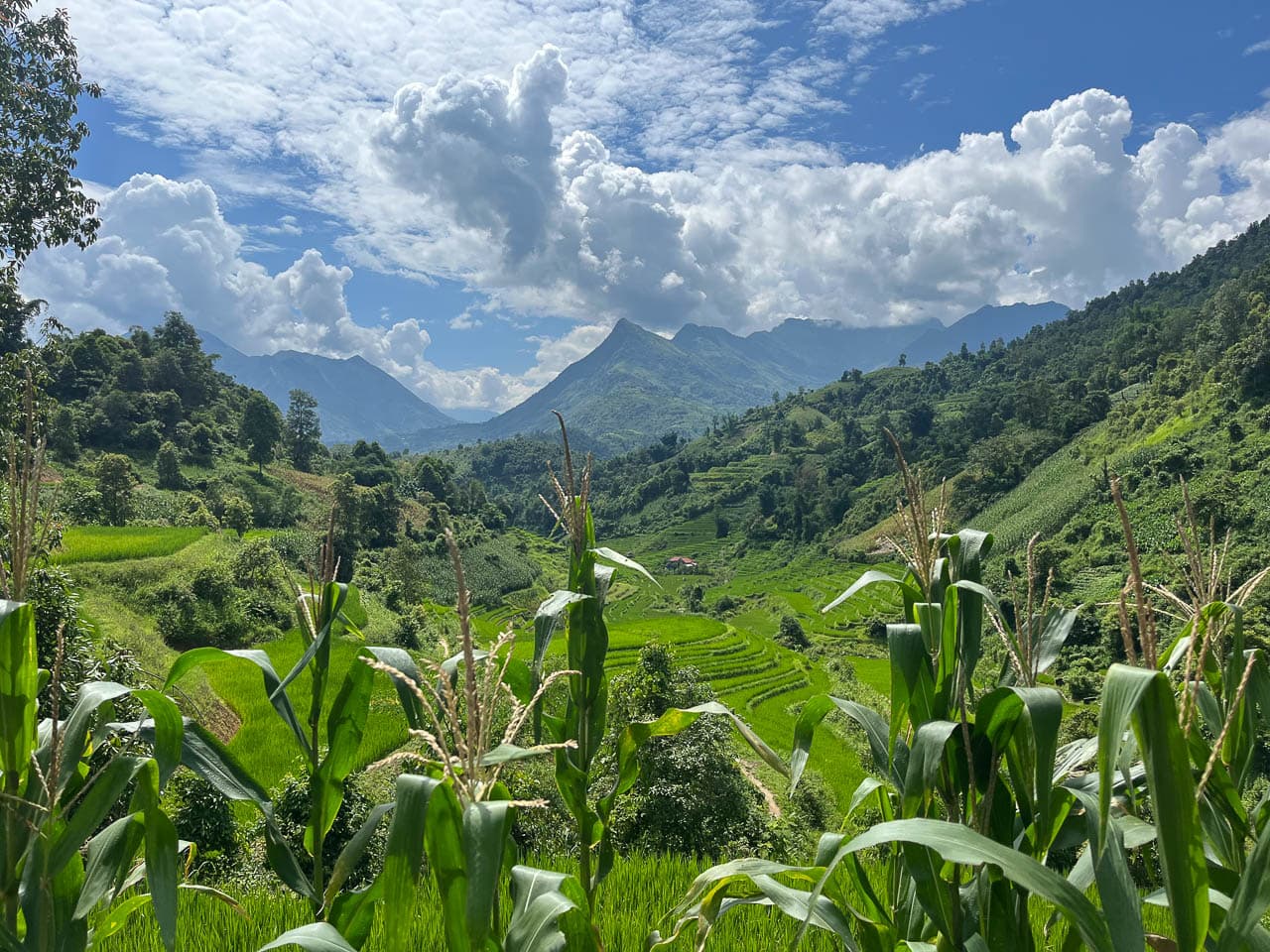 Selectie Ngan Nguyen IMG 4295 Ngan Nguyen