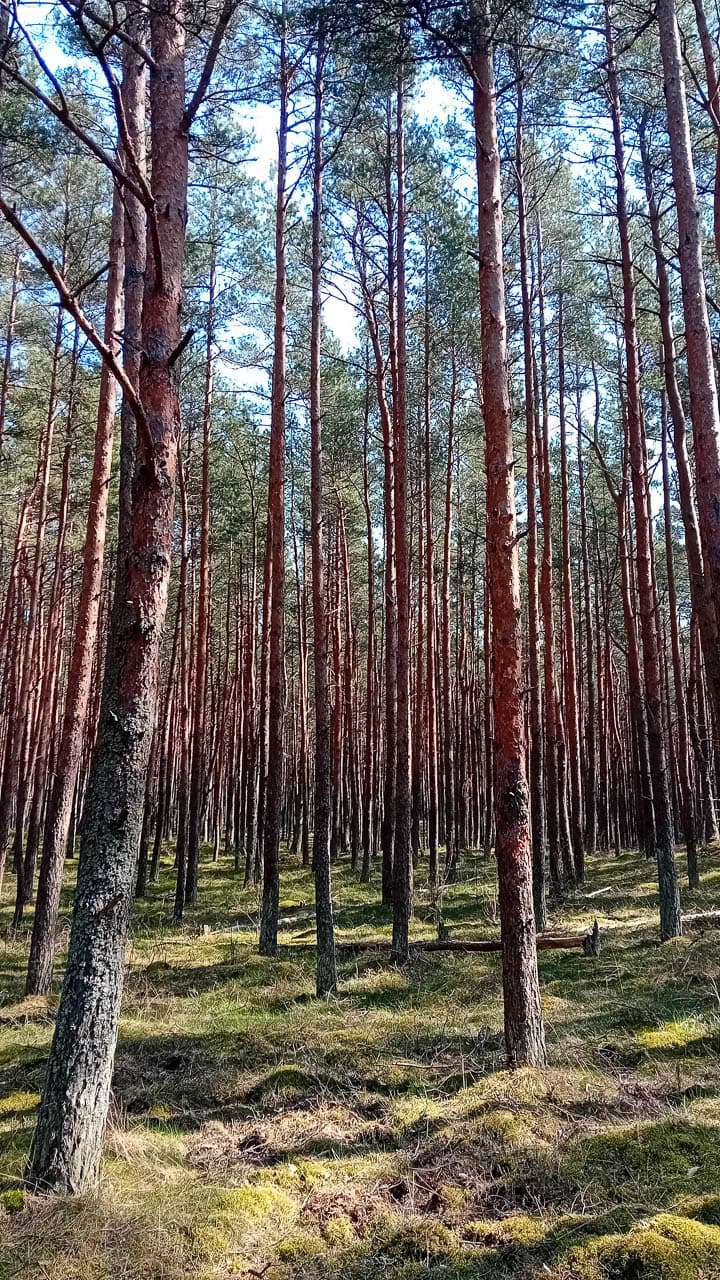 Website Selectie 20250417 115941 Maarten Caversoons