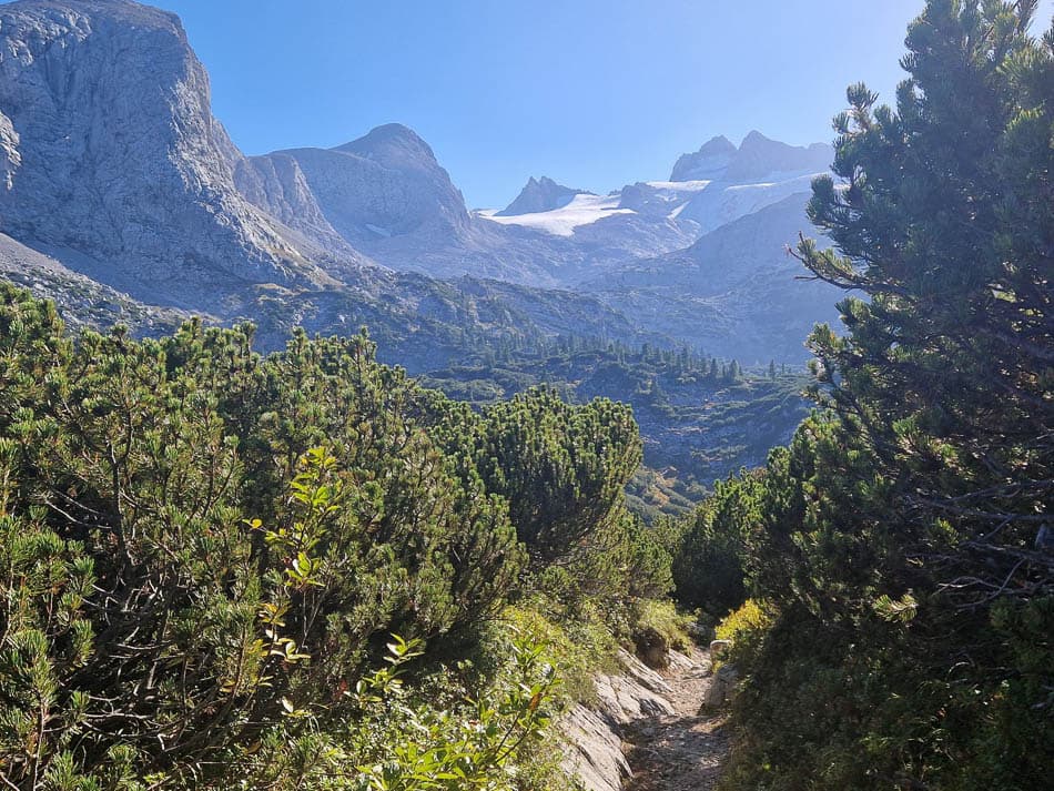 20230926_160843-Koen-Koen Somers-w950