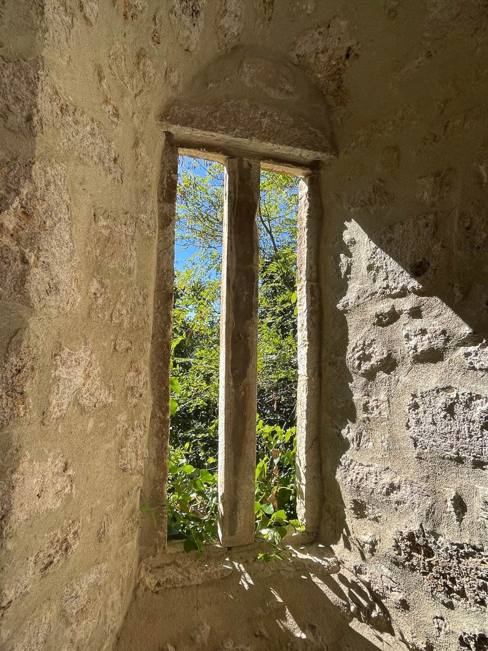 Selectie Whatsapp Image 2025 10 30 At 15.02.35 (5) Geert Oppeel