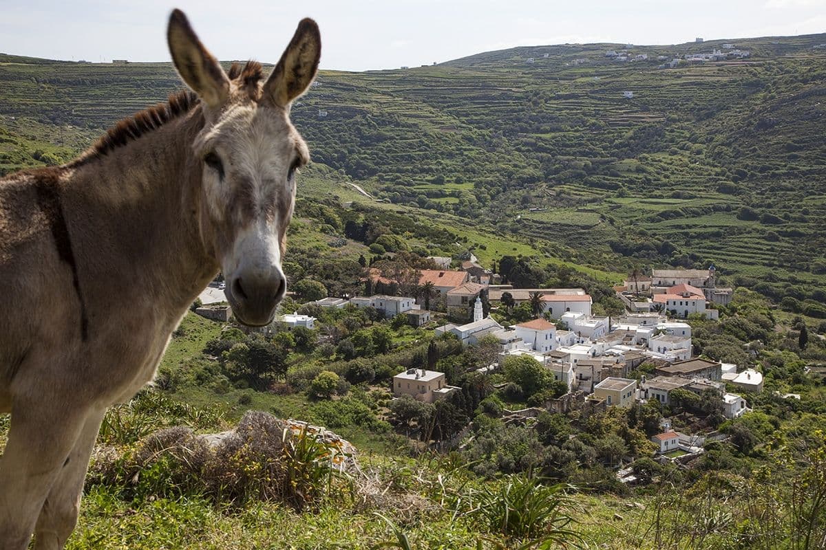 _ROP_20-april-2014_0001__export