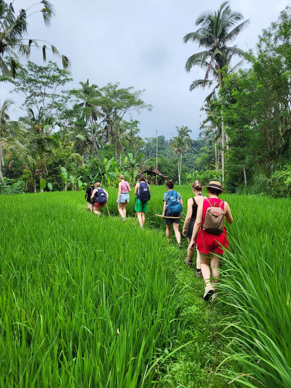 Charlotte Stevens ID5JBA Charlotte Stevens W950