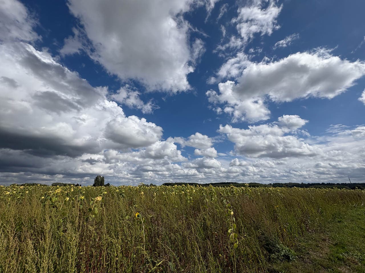 BE5PJA Image00017 Margot Pappijn