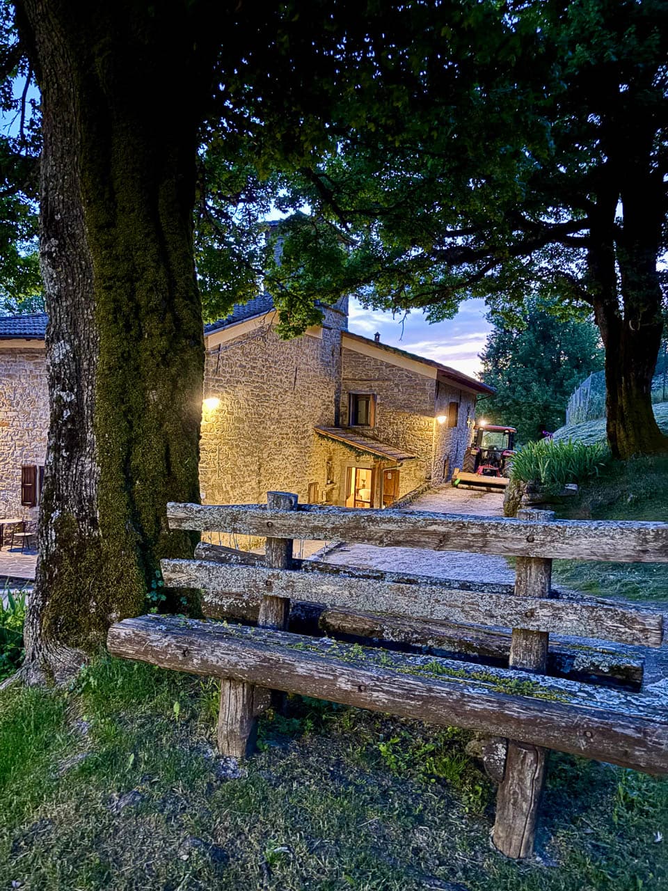 Selectie IMG 7619 Anna Mertens