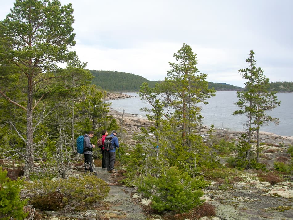 Hoge Kust Bart De Winter 2011 DSCN5856 Export W950