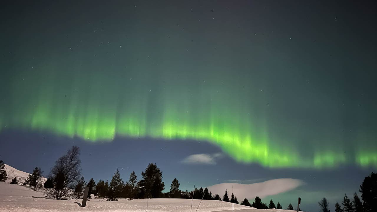 Selectie Image00018 Denise Nieuwejaers