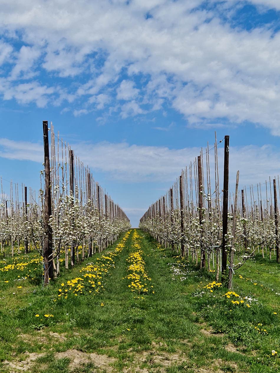 20230421_145653-NL5DMA Schrumpf Mirjam-Mirjam Schrumpf-w950