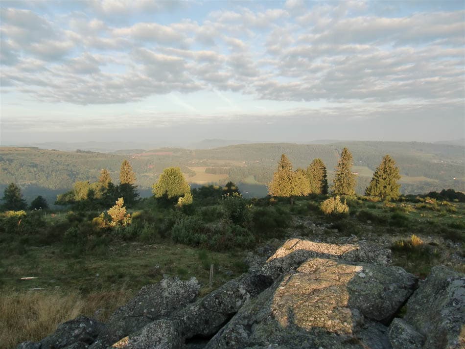 Omgeving (7) (1320 X 990) Selectie Agent W950