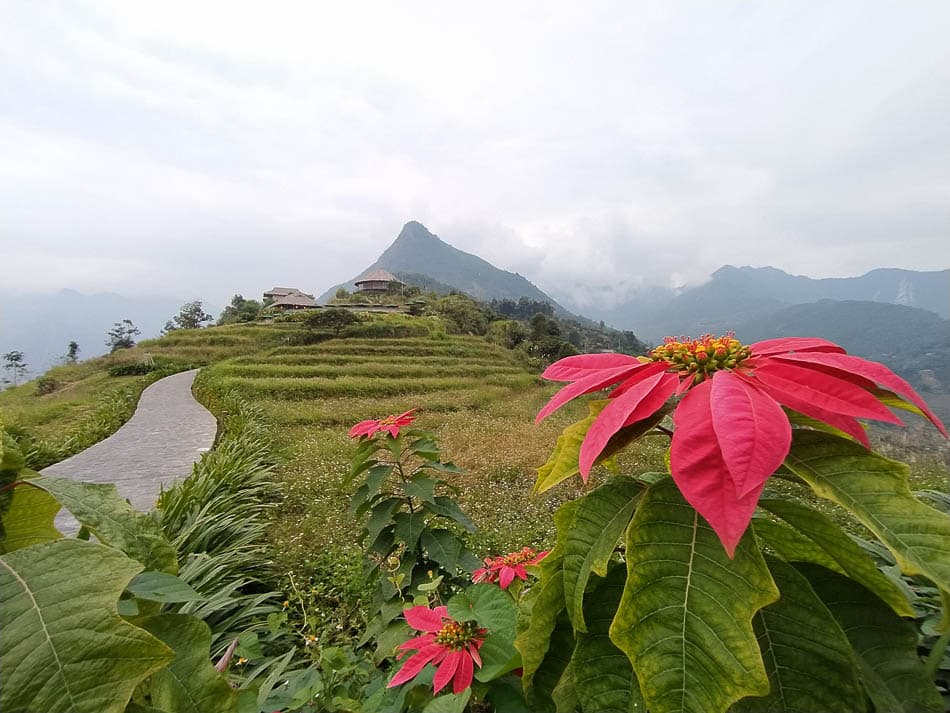 IMG 20241105 160031 Charlotte Charlotte Stevens W950