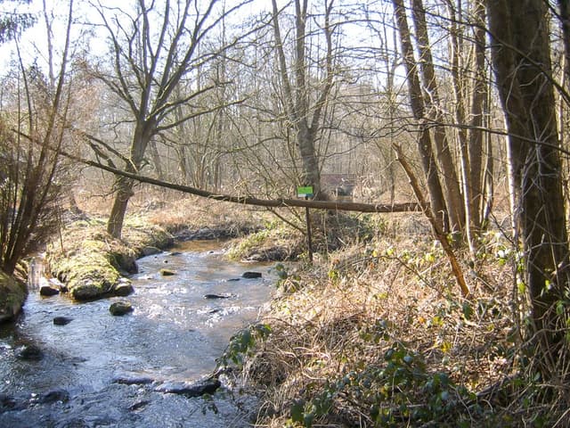 Bosbeek 1_export_w950