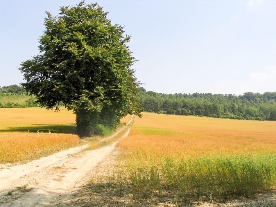 Kent-NDWay-06-Yves-Goolaerts-8_export_w950