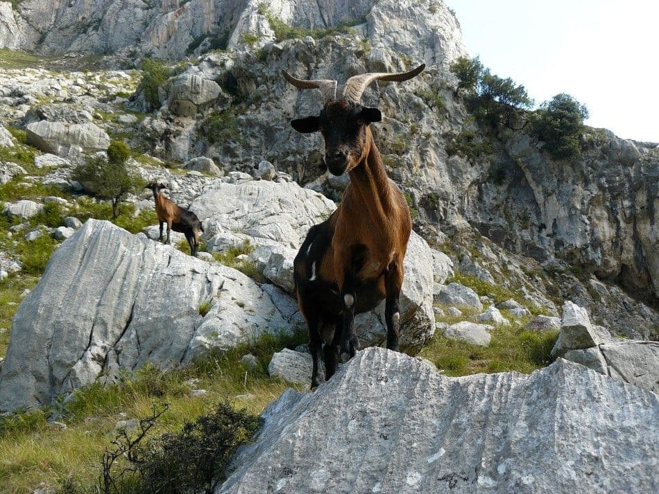 Picos-09-Ann-Cayet-cares-kloof-5-Custom