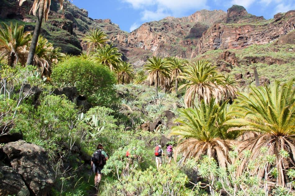 La Gomera 09 luc lioen DSC_0156_export_w950