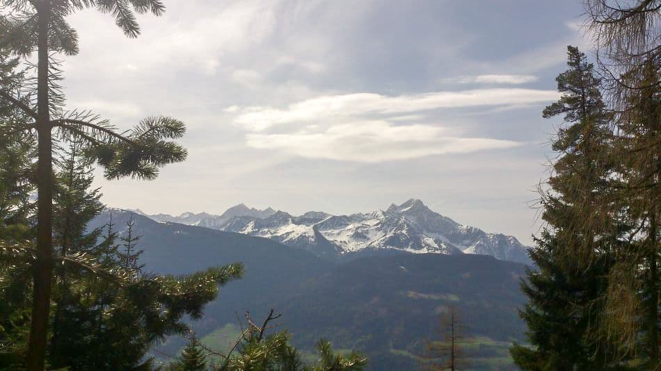 DSC_0871_export_export_w950