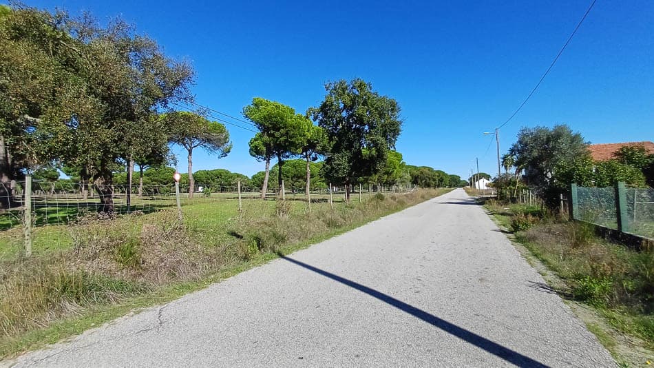 20241111 122319 PT6ALA W950