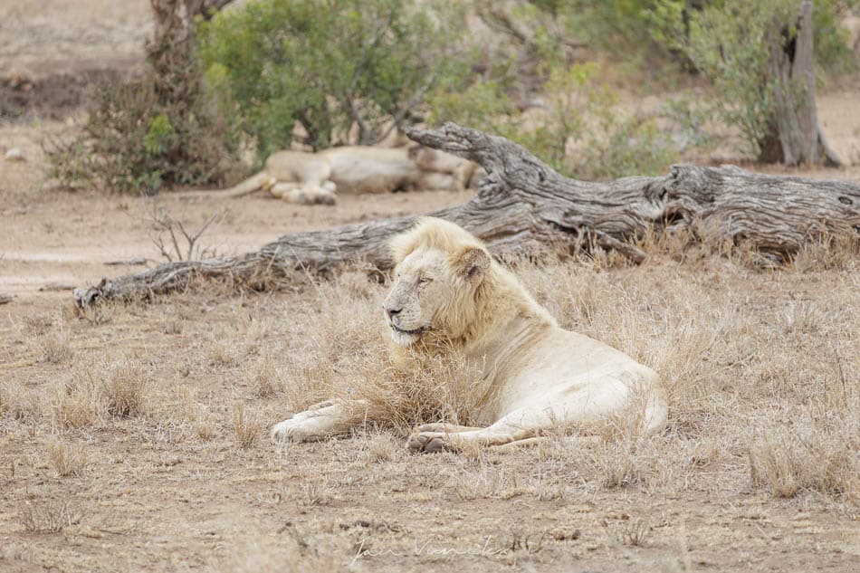 IMG 2684 Selectie Jan R8 W950