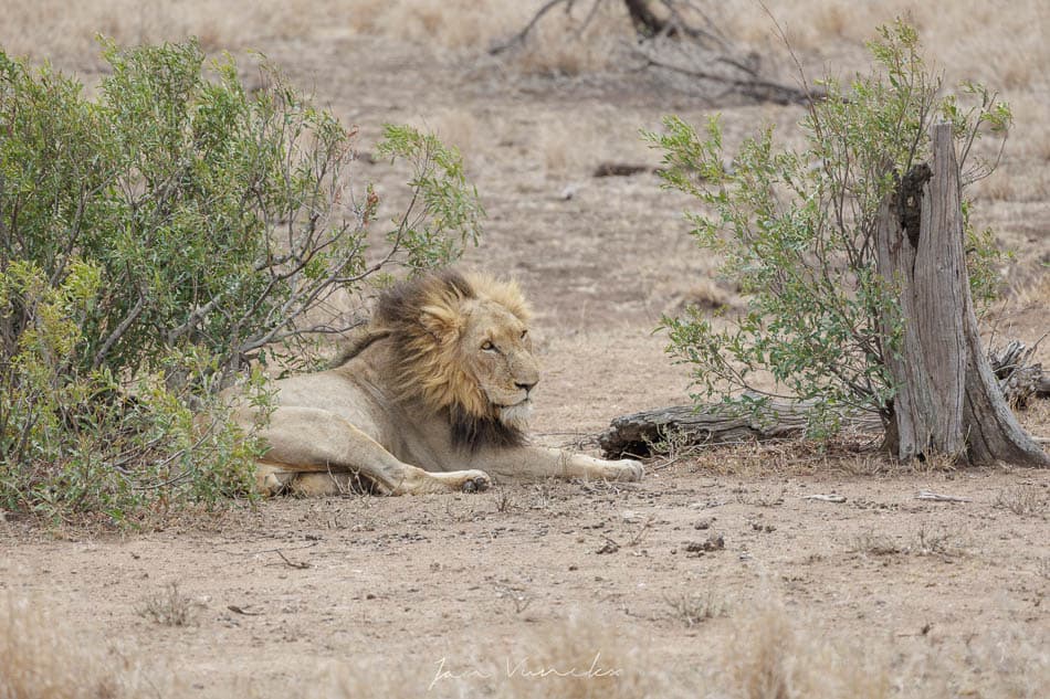 IMG 2767 Selectie Jan R8 W950