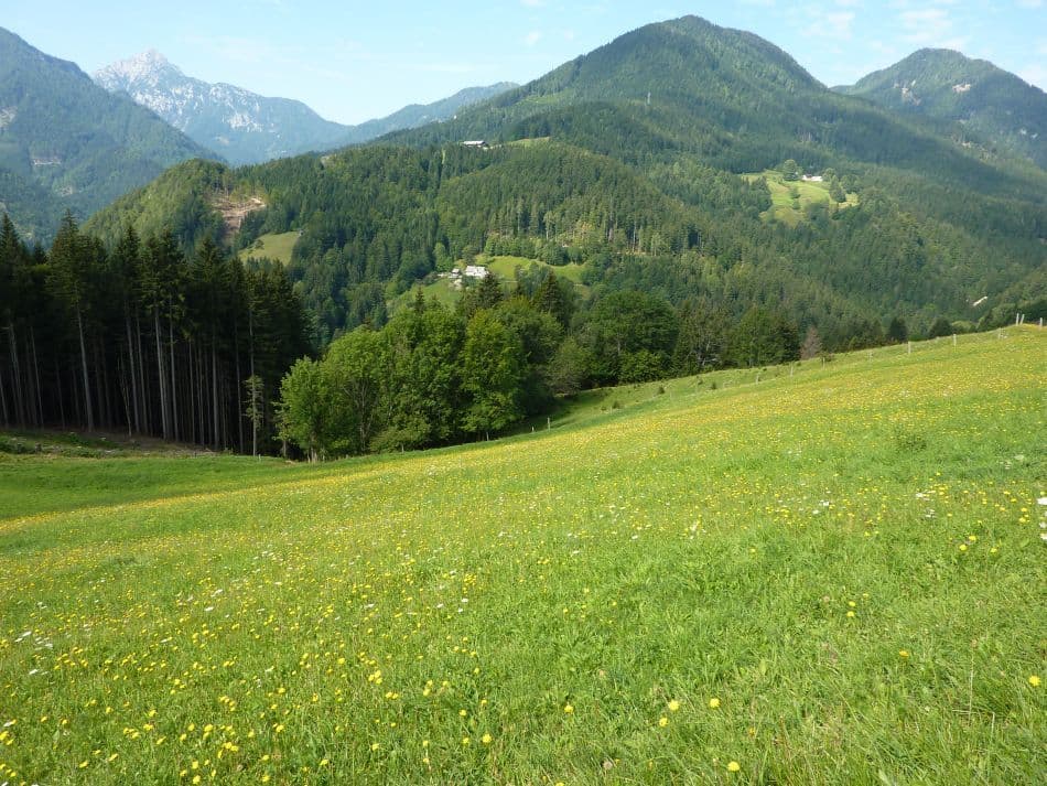 IND14-83-SLOVENIE-042-Veerle-Van-den-Bosch_export