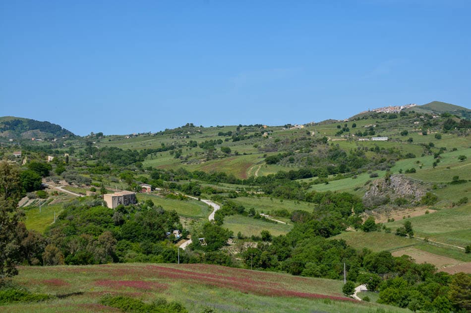 DSC 6171 Selectie Melissa Bernard Quintens W950