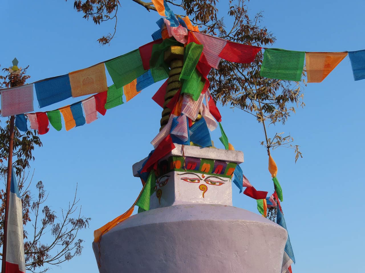 Selectie Temal 15 Betty Moureaux