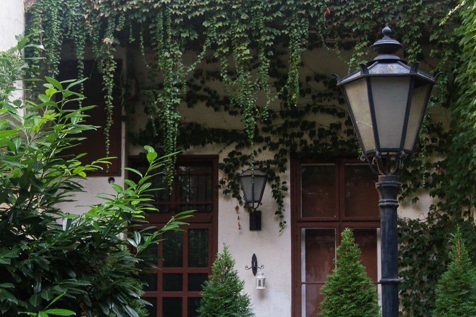 14HU161_PeterCornelissen-2_export_w950