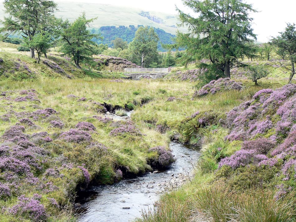 Gr14 97Wales 07 Philippe Van Hellemont 3 Export W950