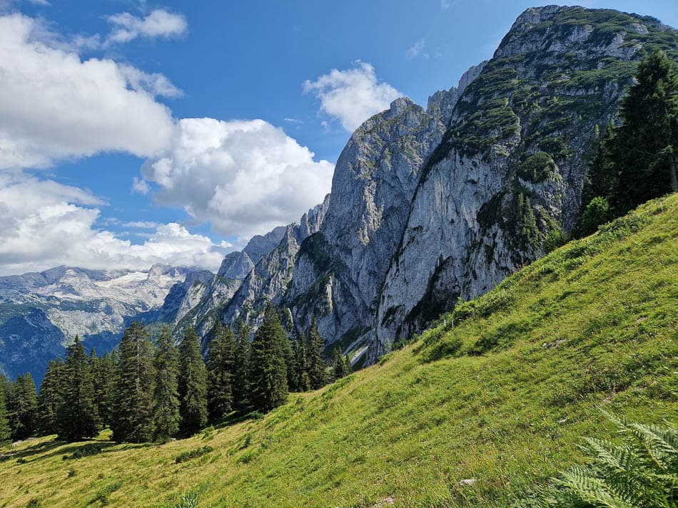 1000037806 Koen (Te Verwerken) Koen Somers W950