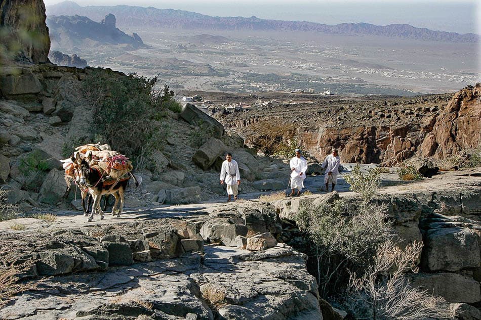 23 Selectie Rob Putseys W950