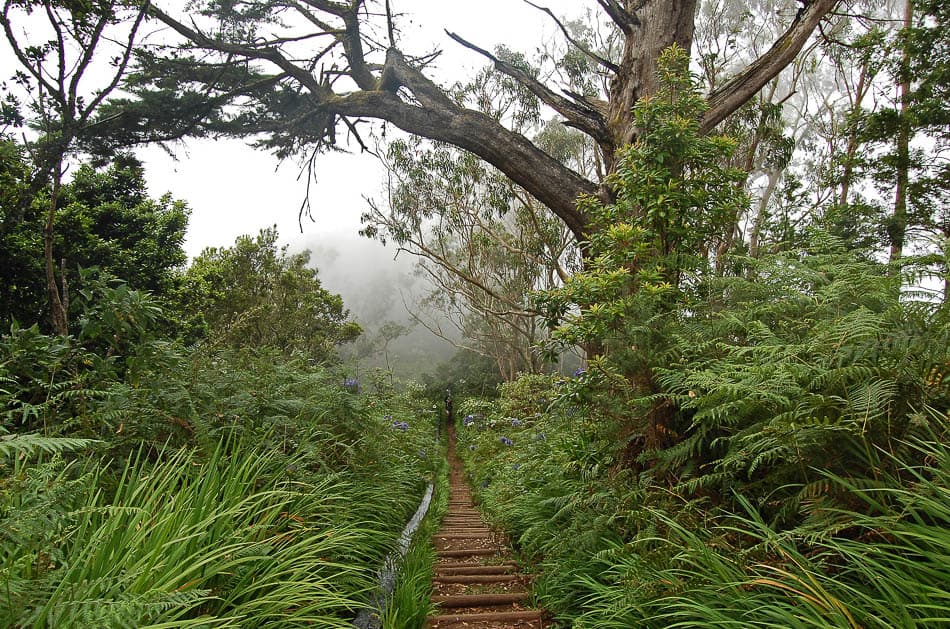 DSC 0259 Bart Ceuppens W950