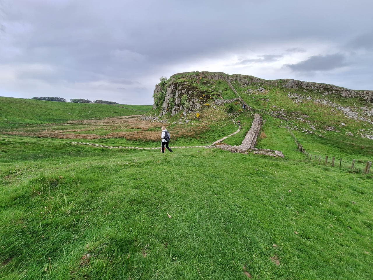 Selectie 20240521 110805 Willy Stoelzaet