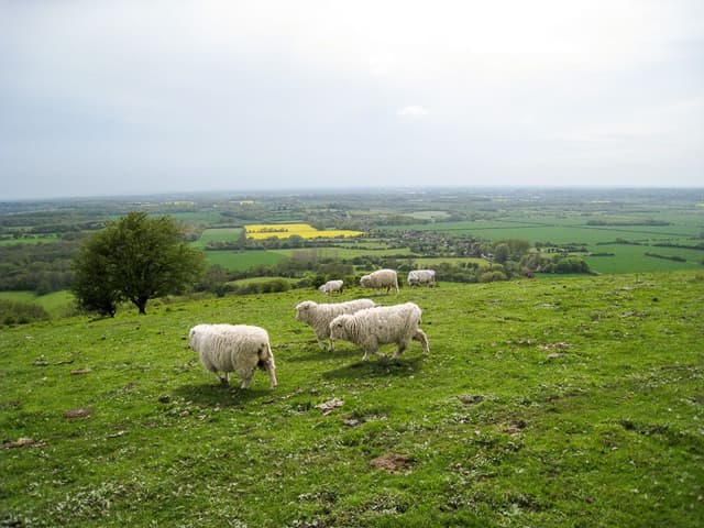 Kent-12-Johan-Vandueren-IMG_1708_export_w950