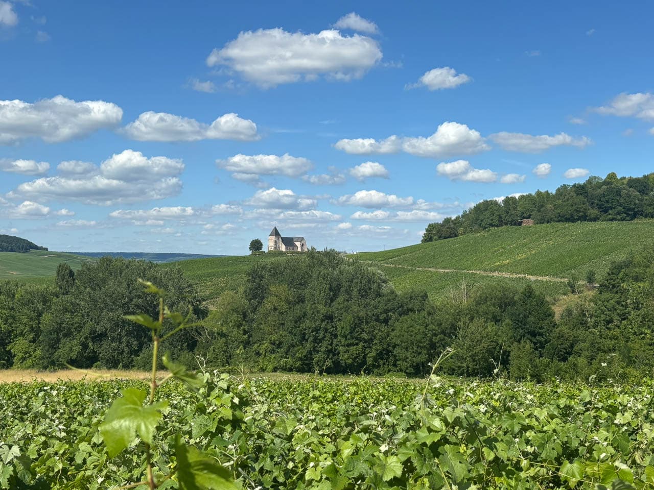 FR5CHA IMG 8298 Ann Tilley